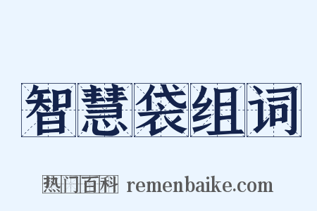 智慧袋组词是什么意思的图片